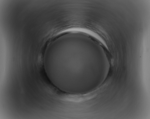 X0000088200029200705221732