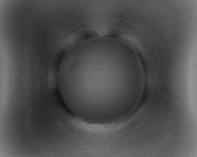 X0000088200030200705221732