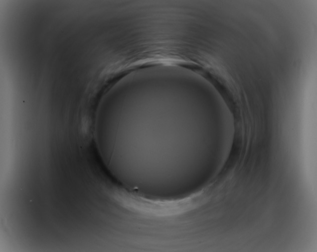 X0000088200031200705221732