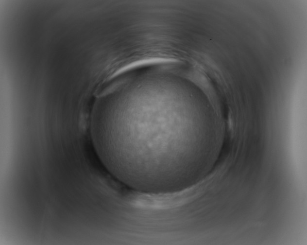 X0000088200033200705221732