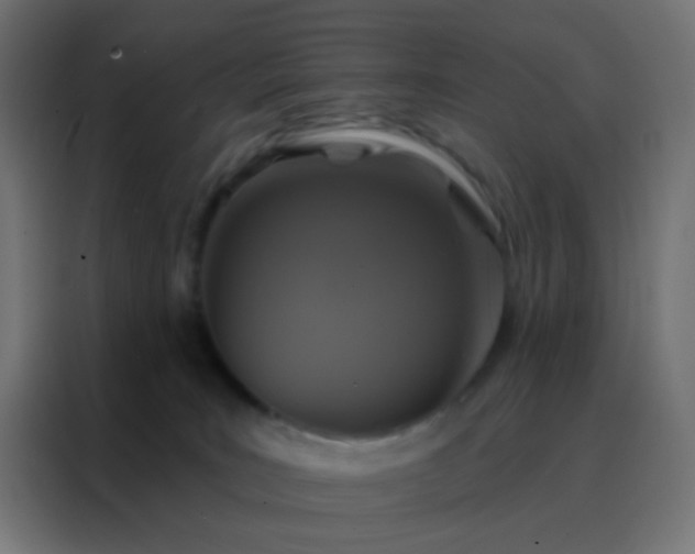 X0000088200035200705221732
