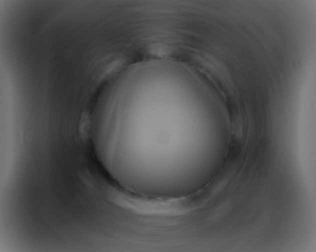 X0000088200036200705221732