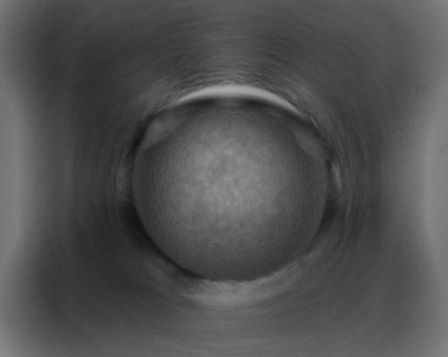 X0000088200037200705221732