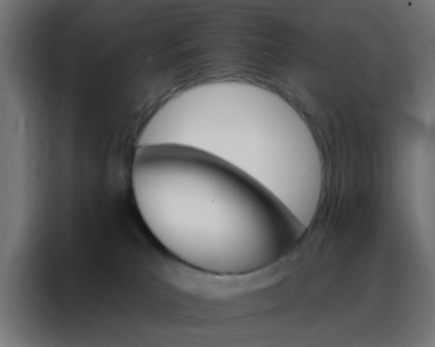 X0000088200039200705221732