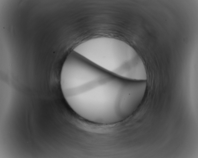 X0000088200040200705221732