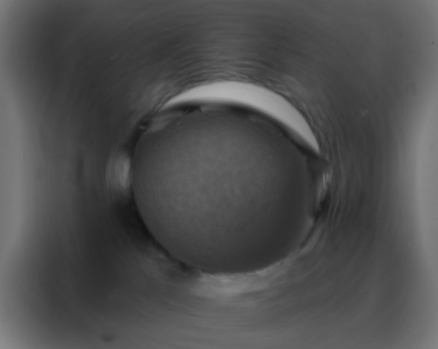 X0000088200041200705221732