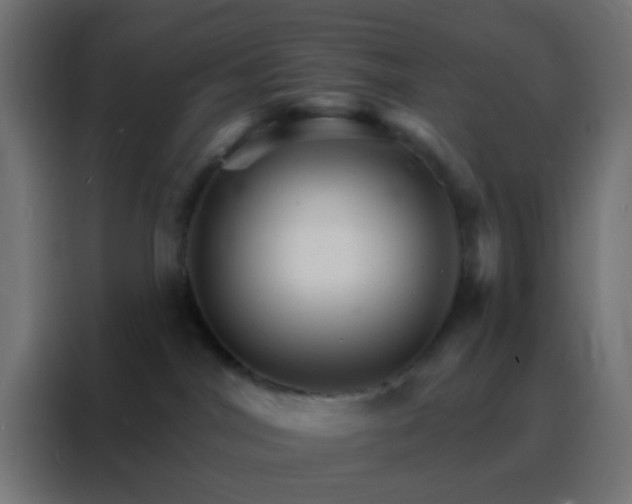 X0000088200044200705221732