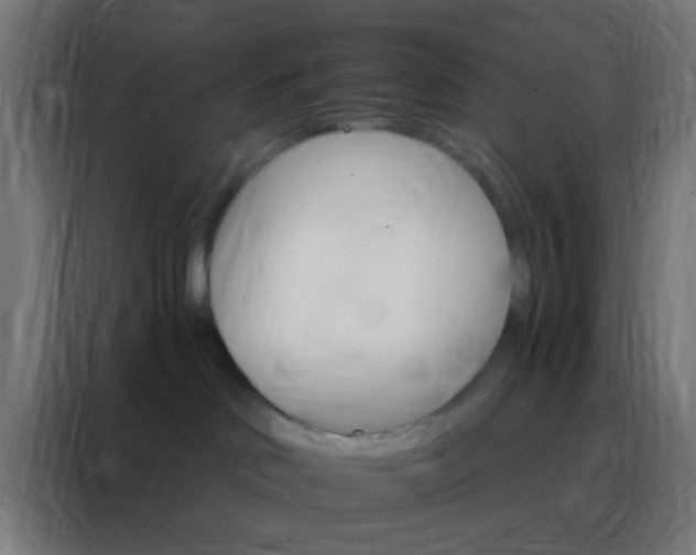 X0000088200046200705221732