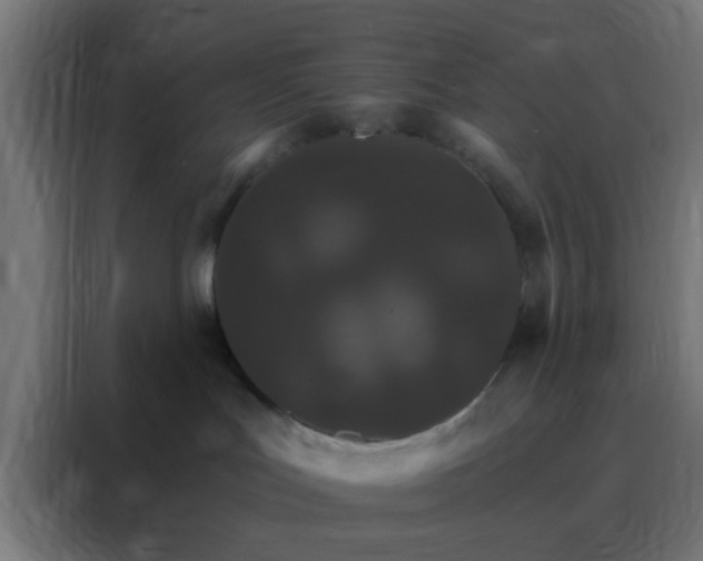 X0000088200047200705221732