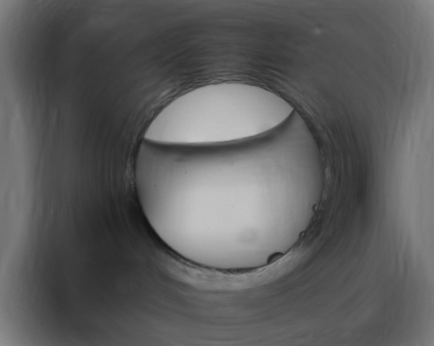 X0000088200048200705221732