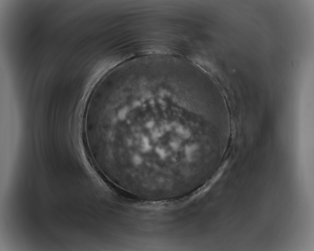 X0000088200049200705221731