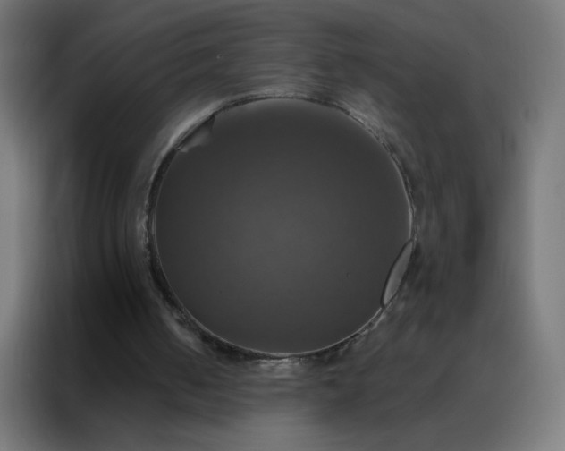 X0000088200050200705221731