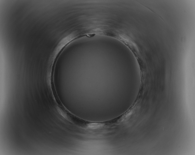 X0000088200051200705221731