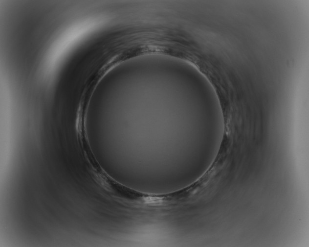 X0000088200052200705221731