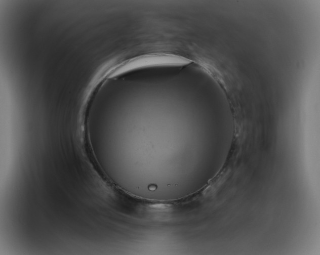 X0000088200053200705221731