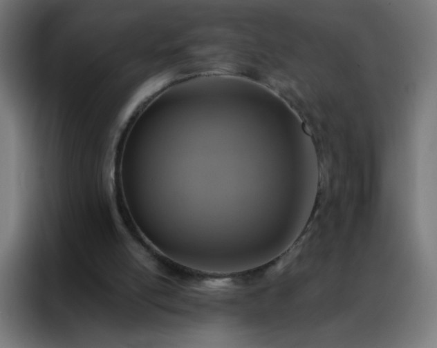 X0000088200054200705221731