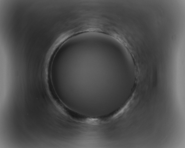 X0000088200055200705221731