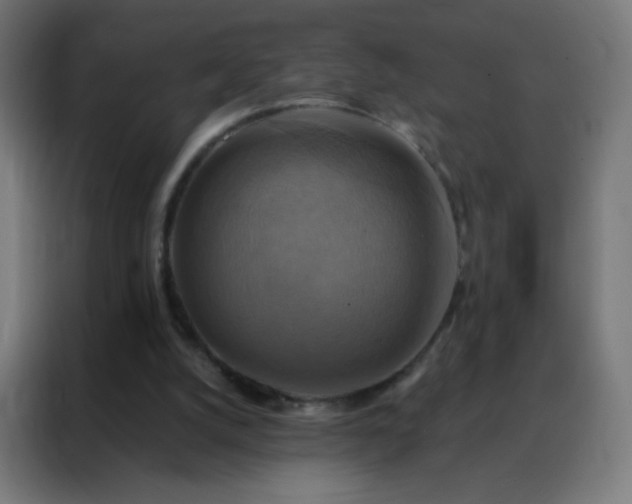 X0000088200056200705221731