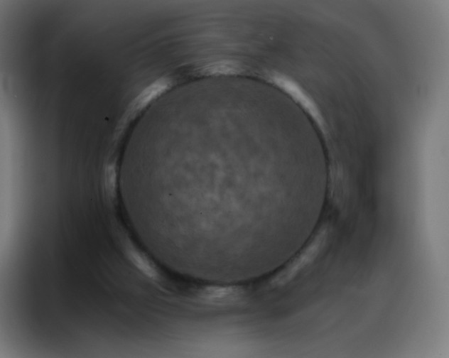 X0000088200057200705221731