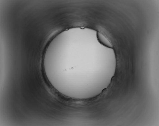 X0000088200058200705221731