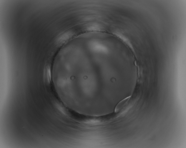 X0000088200061200705221731