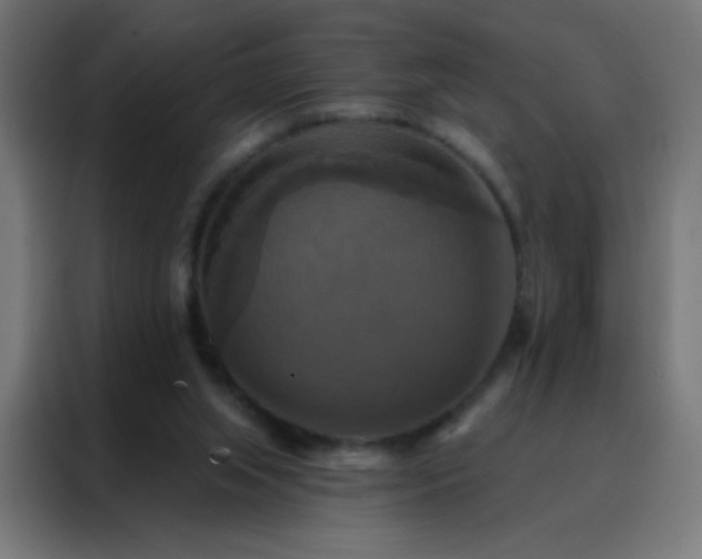 X0000088200063200705221731