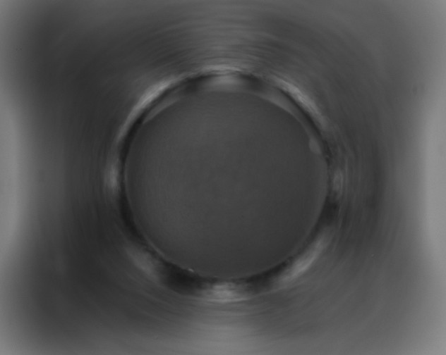 X0000088200064200705221731