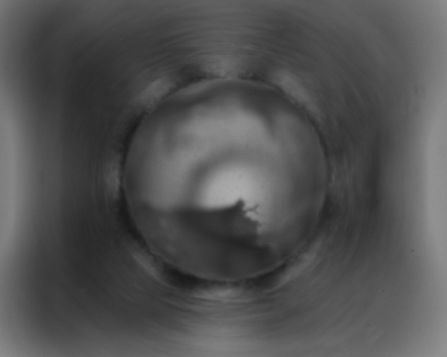 X0000088200065200705221731