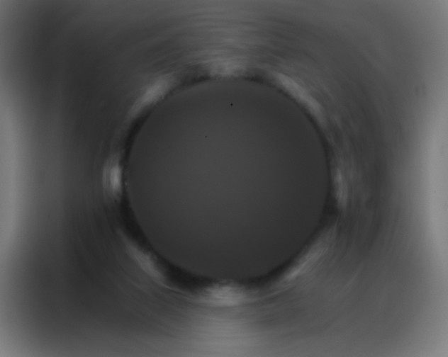 X0000088200067200705221731