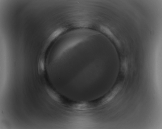 X0000088200068200705221731