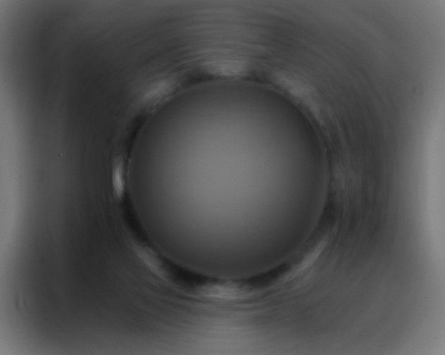 X0000088200069200705221731