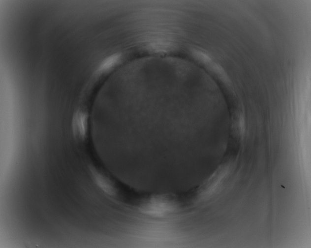 X0000088200070200705221731