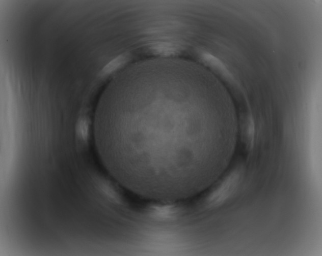 X0000088200071200705221731