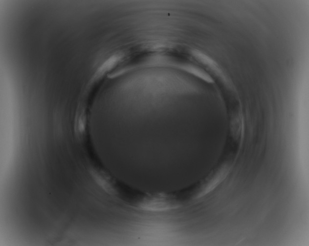 X0000088200072200705221731