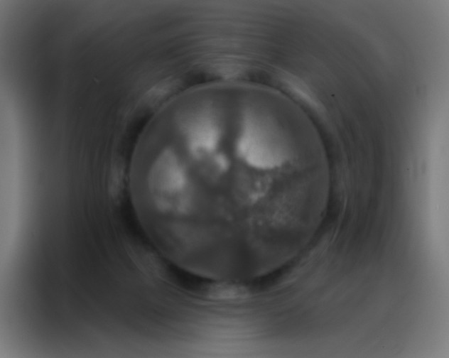 X0000088200073200705221731