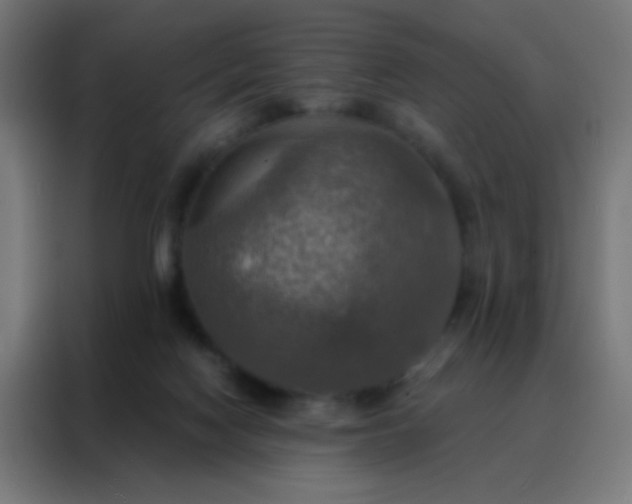 X0000088200074200705221731