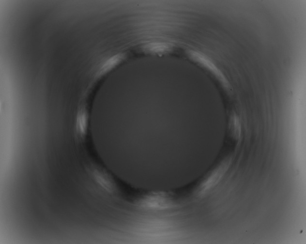 X0000088200076200705221731