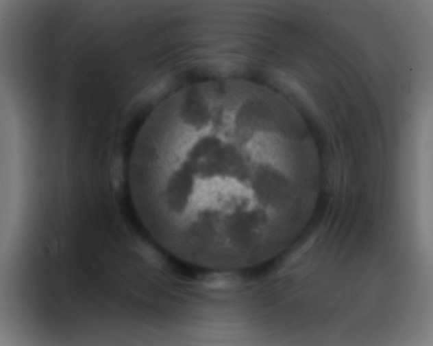 X0000088200077200705221731