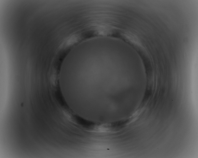 X0000088200078200705221731