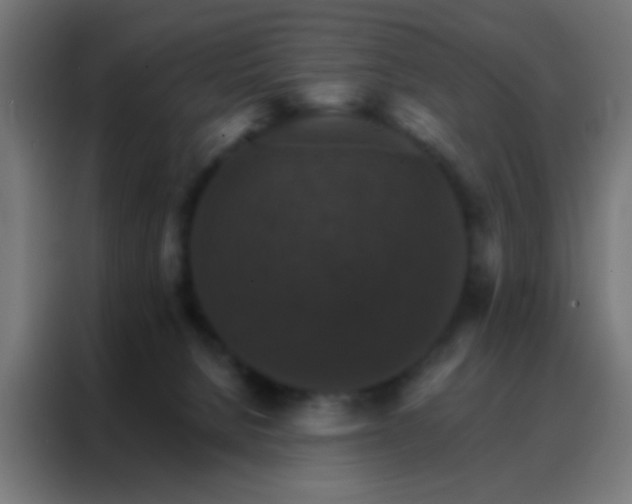 X0000088200080200705221731