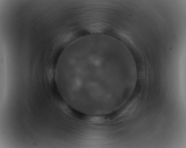X0000088200081200705221731