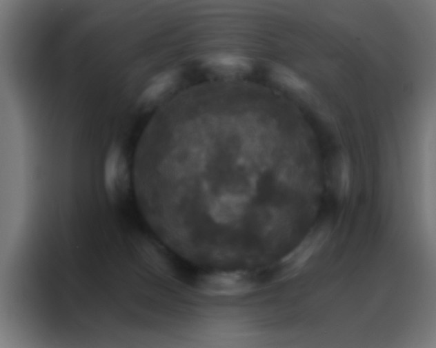 X0000088200086200705221731