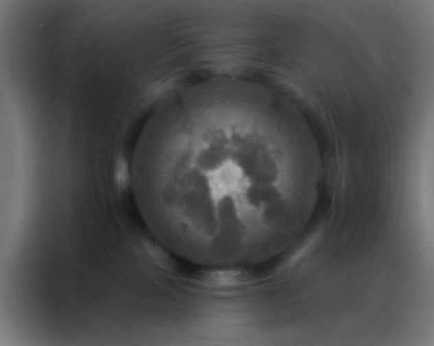 X0000088200089200705221731