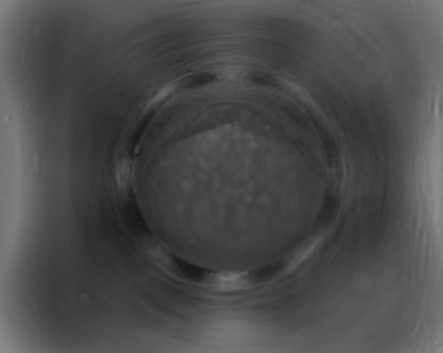 X0000088200093200705221732