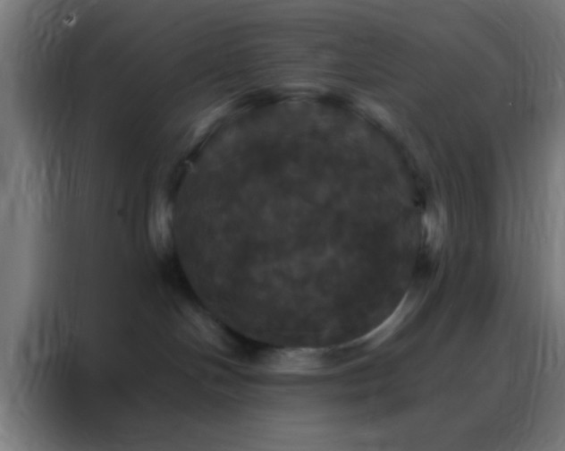 X0000088200094200705221732