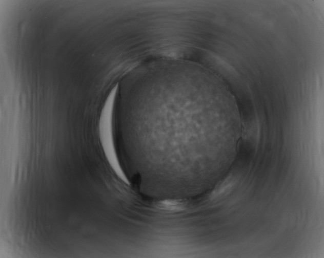 X0000088200095200705221732