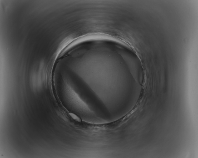 X0000088200099200705221731