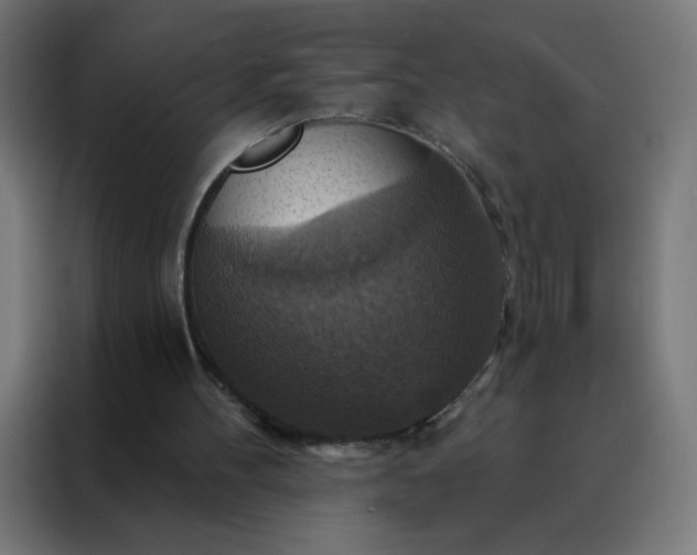 X0000088200100200705221731