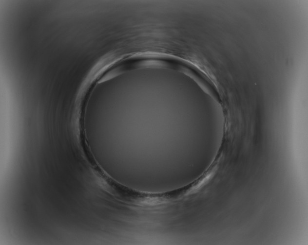 X0000088200101200705221731