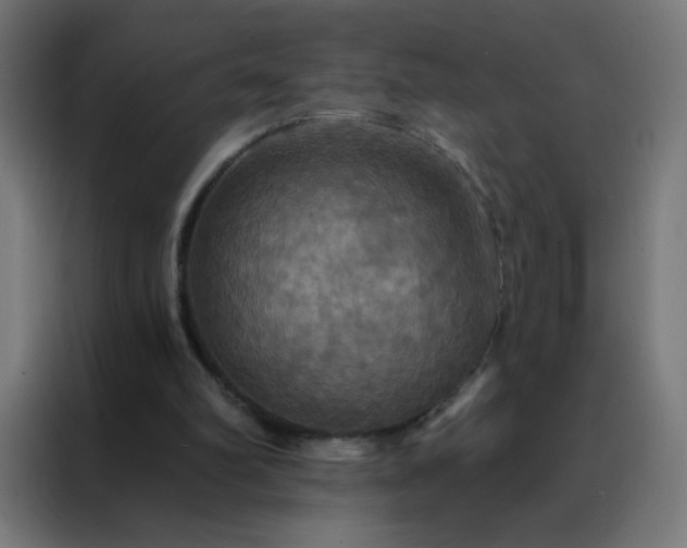 X0000088200102200705221731